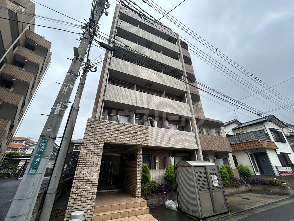 スプリングライト