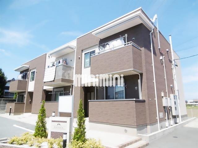 エレガンシア