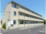 オルタシア カツラ