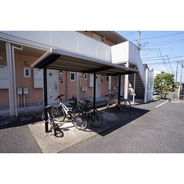 コスモス