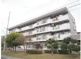 今羽町団地 1号棟