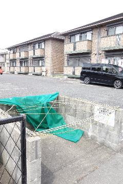 ノースステラ
