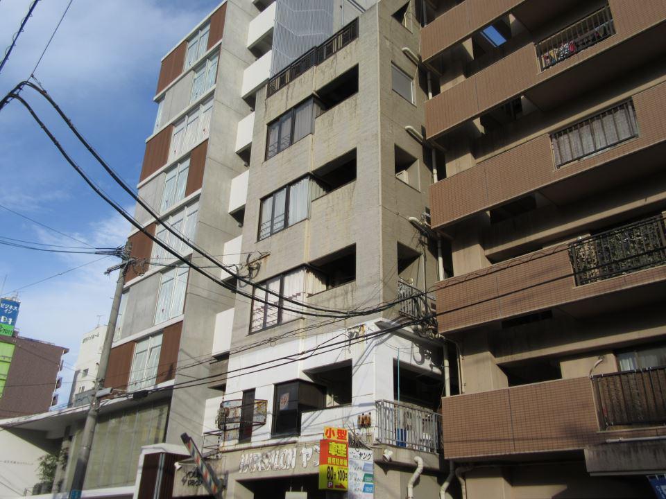 ヤングドミール