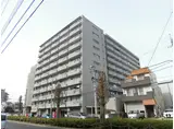 ウインザーハイム西川口