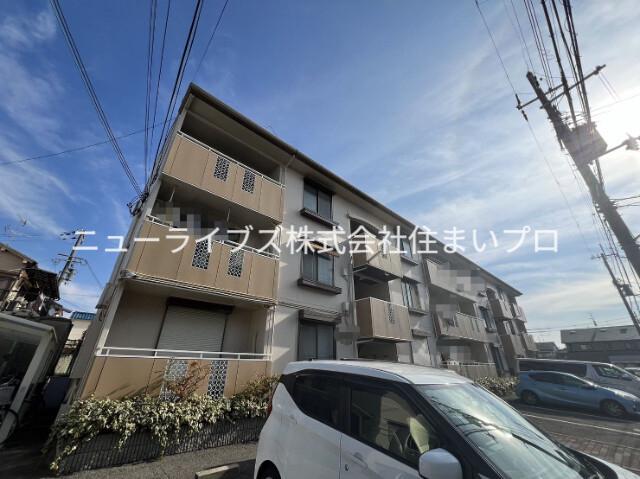 アムールワイアンドエヌ