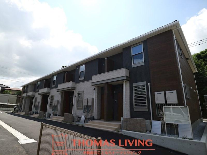 ジャカランダ