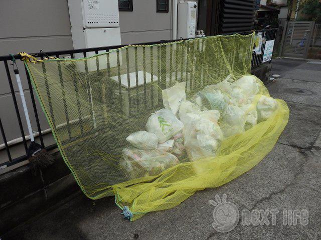 ラパール・ピア