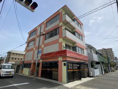 ライフポケット甲子園