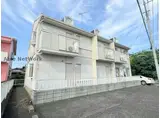 シオン花咲