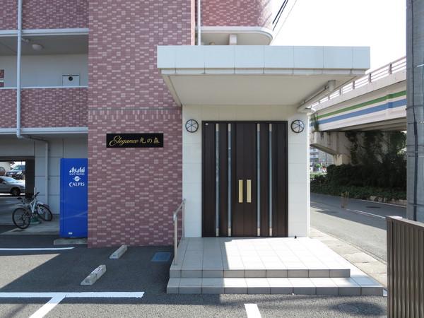 エレガンス光の森