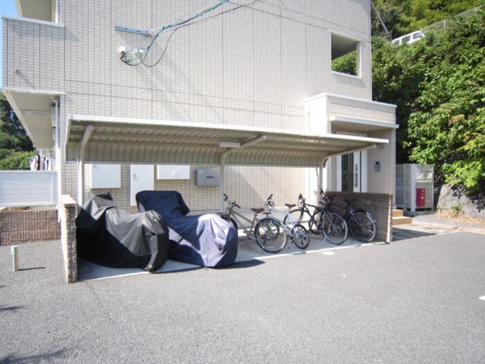 コルトン