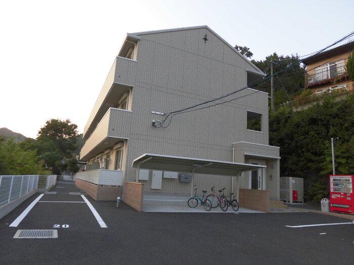 コルトン