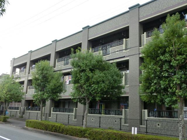 グライス武藤