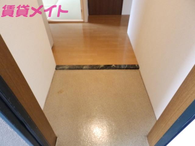 アネックス AYA