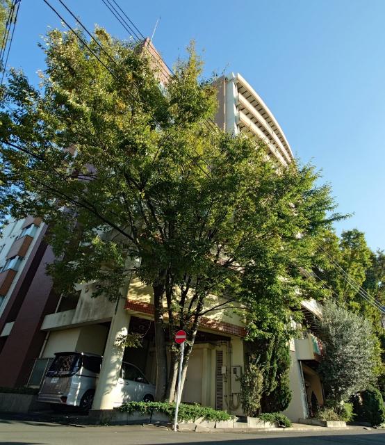 鶴見ワンダーランド