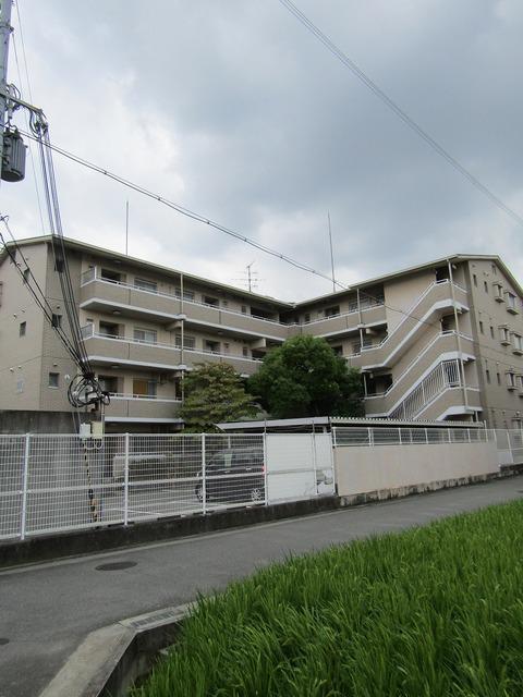 メゾン川口
