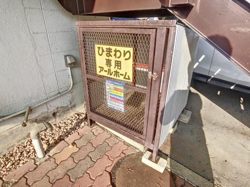ひまわり
