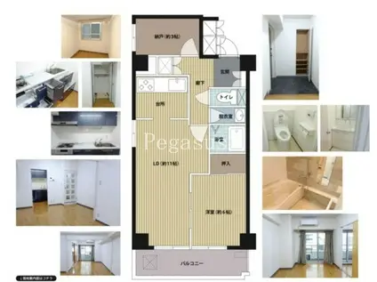 中銀日本橋浜町マンション(1SLDK/3階)の間取り写真