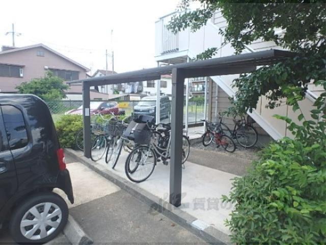 TOWNY陽光
