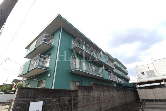 マイアみどり