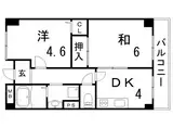 シャロン鷹取東