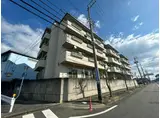 ホワイトピア江島台