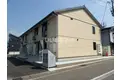 サンフラワー