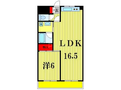 メゾンリヴィエール小金(1LDK/6階)の間取り写真