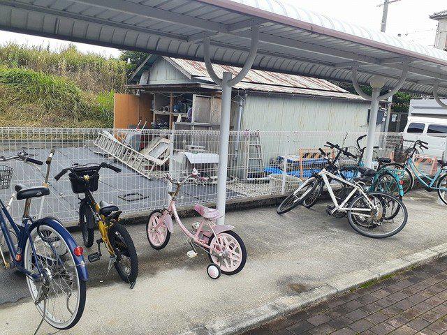 シャングリシーヌ