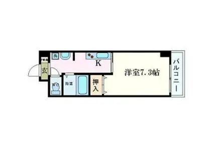 GP栄本町通(1K/5階)の間取り写真