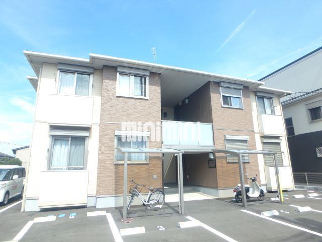 サニーフラットT