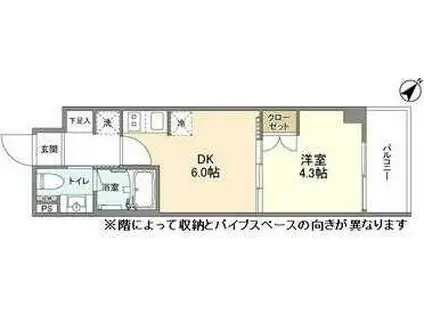 YSレジデンス代田橋(1DK/1階)の間取り写真