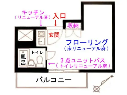 ライオンズマンション南青山シドニービル(ワンルーム/11階)の間取り写真
