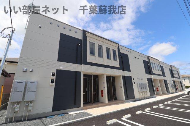 コスモス