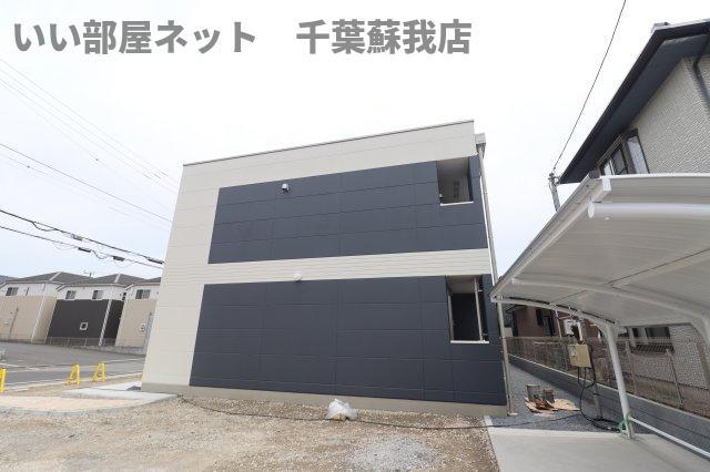 コスモス