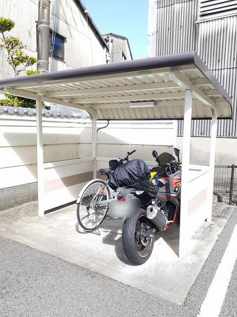 メープルリーフ