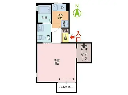 サンテラス松井A(1DK/1階)の間取り写真