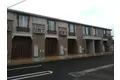 ニューアイリス