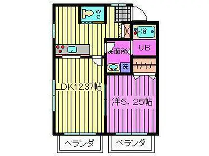 シャインエステート(1LDK/1階)の間取り写真