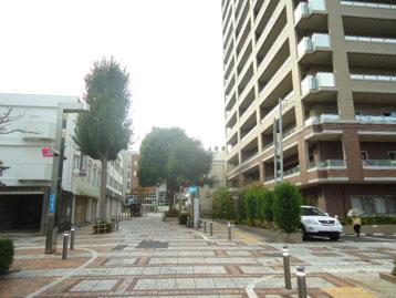 ポレスター鹿島町