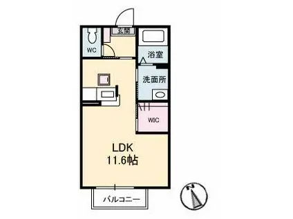 VALUGE・T(ワンルーム/1階)の間取り写真