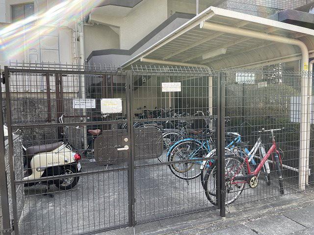 アルティア桂