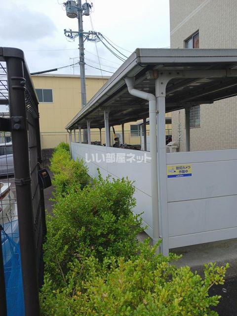 エムズドリームX