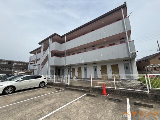 レナ三宅