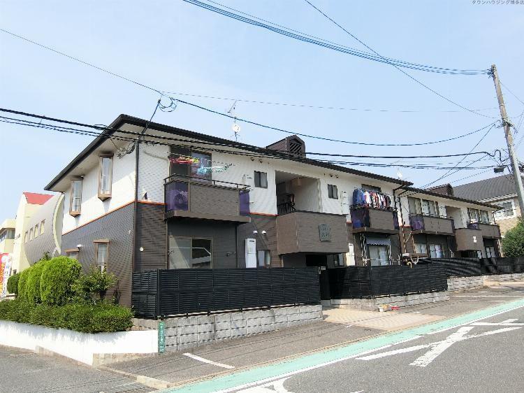 シャンポール入部