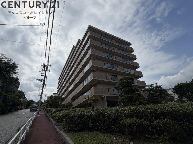 ヴィオレット宝塚