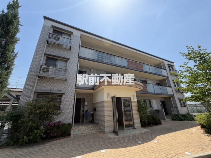 ステラオブアリエス