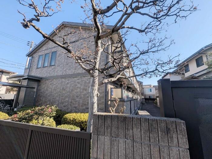 グランシャレ経堂II