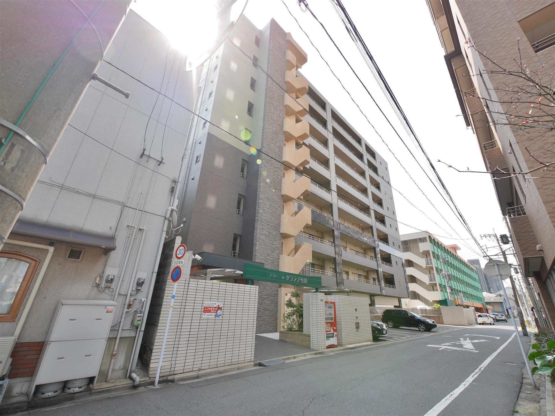 アヴィニールグランデ金田