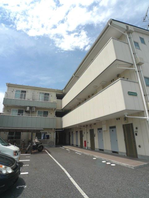 アイリッシュコート